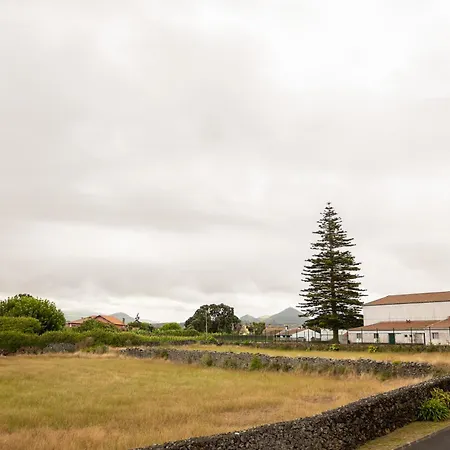 Apartment Sentidos Do Mar - Em Sao Miguel