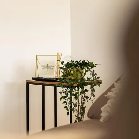 Sentidos Do Mar - Em Sao Miguel *