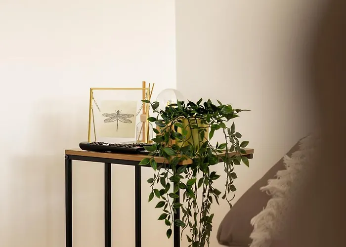 Sentidos Do Mar - Em Sao Miguel *